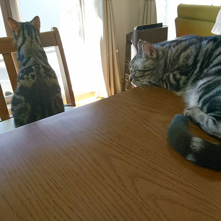 70220dae 6250 41ab 92f7 d33cb54eaaa8 1514517725112