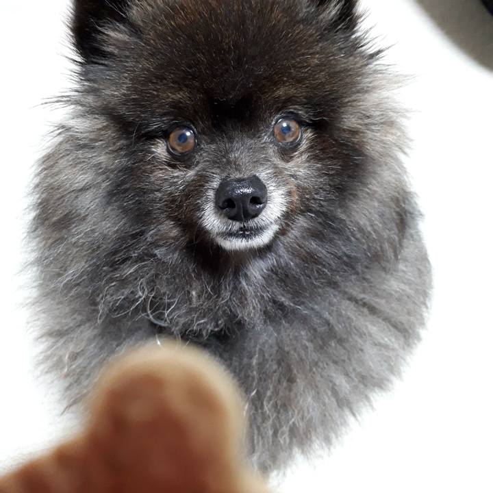 70223864 c05b 4b9c 8fd7 7767d5c24b81 1521228448697