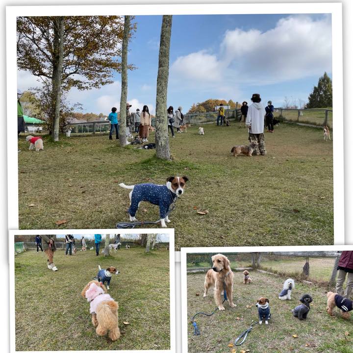 70227ffa e06a 4956 81bf d146391b6e80 1635841966665