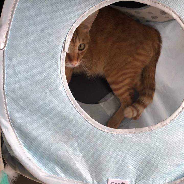 7022999c d8b7 46ff 8966 b00c320b5eee 1627677041329