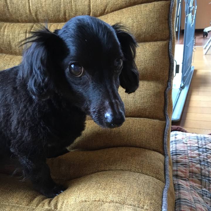 7022c205 d511 4db3 99b7 c0161c70d638 1537831140467