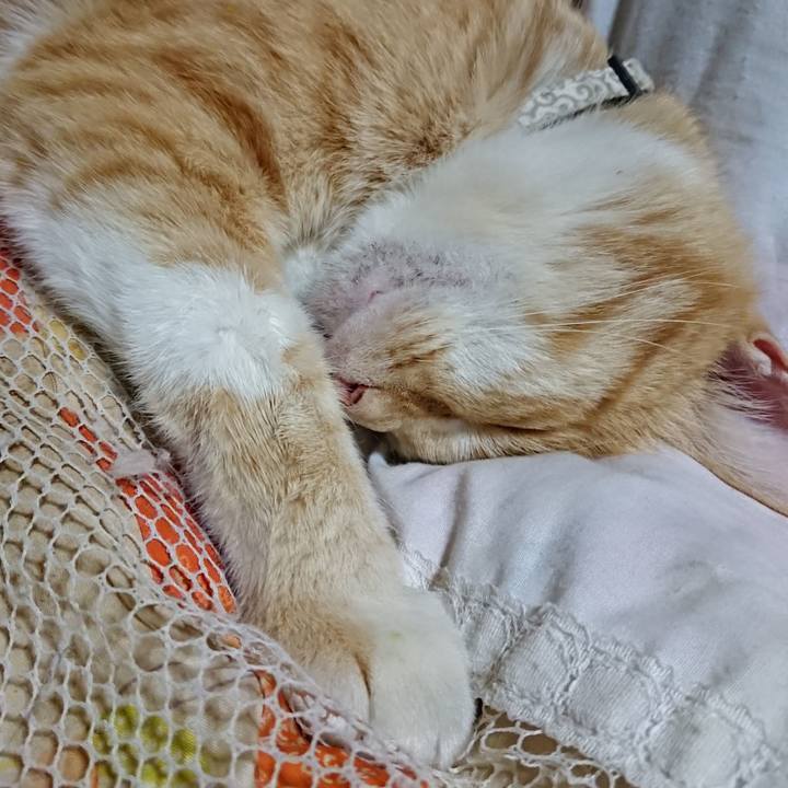 7022ffbf 53f3 4705 a695 f5c745086294 1591100727831