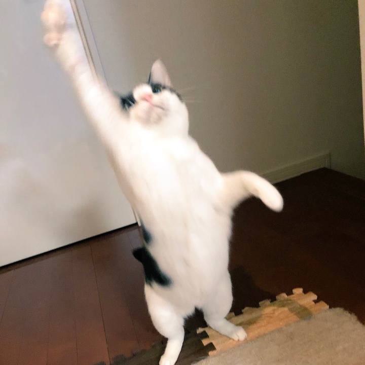 702301be dd82 4455 967a 3af45d884566 1543402123534