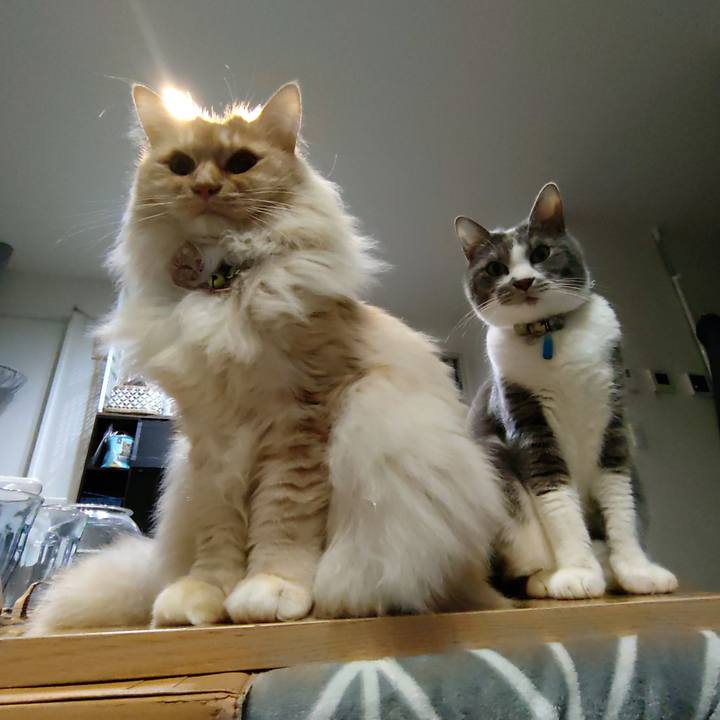 70233e3a 93e5 41be 895d 7f2ef314f059 1708521809833