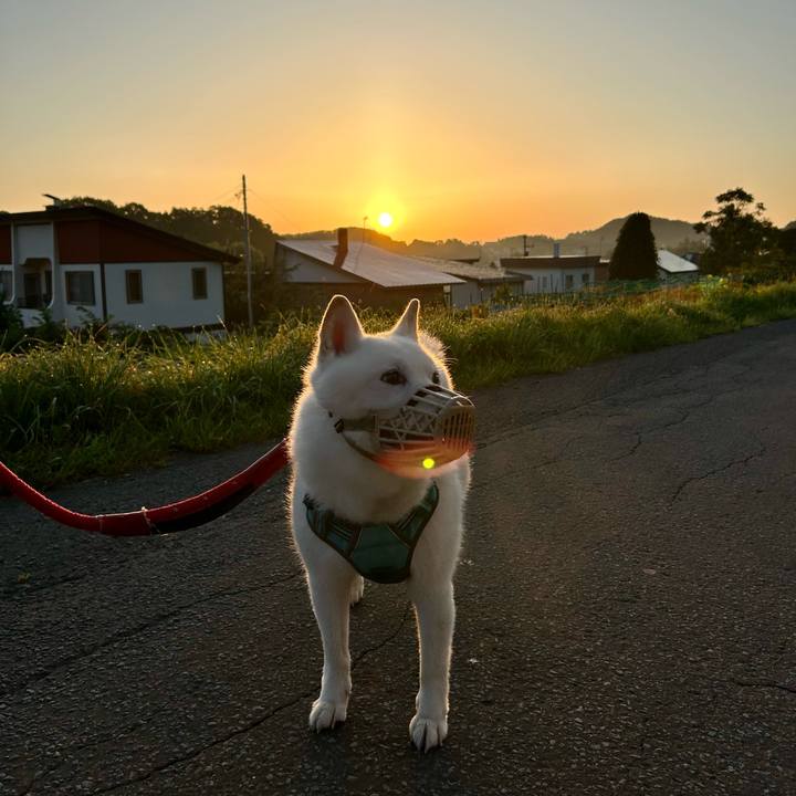 7023719f 2102 46d0 8f4e e326d6b1dd15 1757104891181