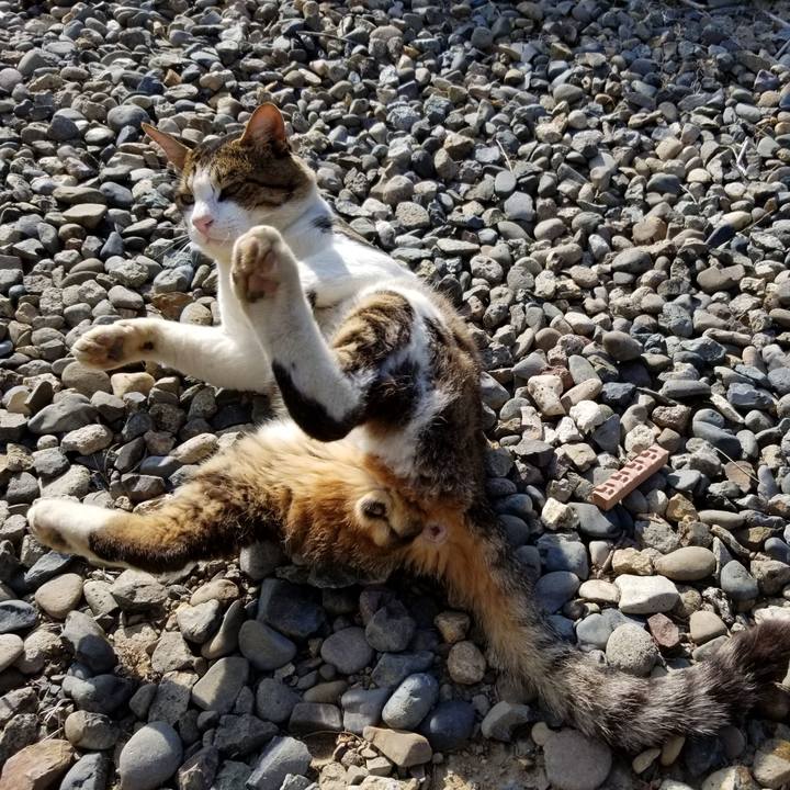 702388ca 6b39 4ca6 b820 49bed5ed0bda 1598515443025