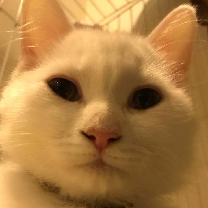 70238af1 3afb 47be abb3 29d205cb515c 1509022152607