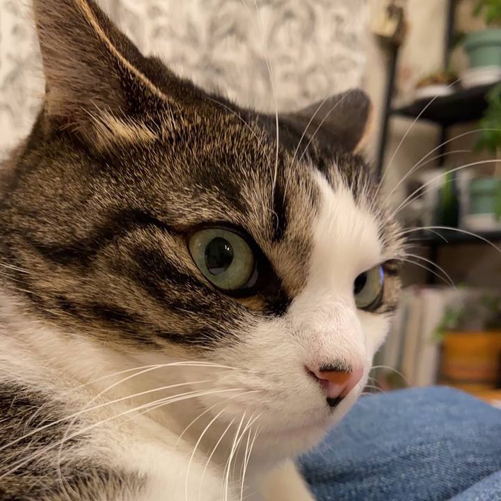 7023a3e6 a85f 4ac0 be83 1e694042896d 1637216581662