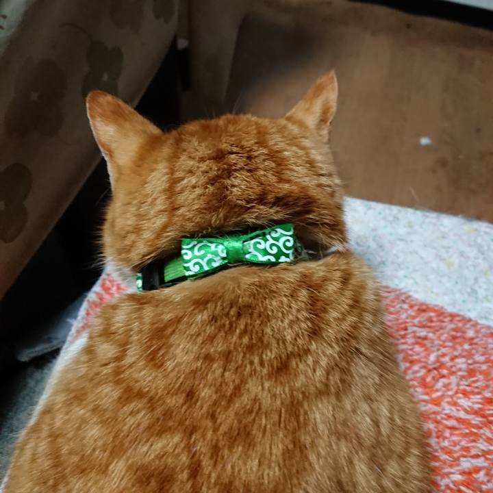 7023adfd b553 46c2 b182 3b42158780f4 1581200483957