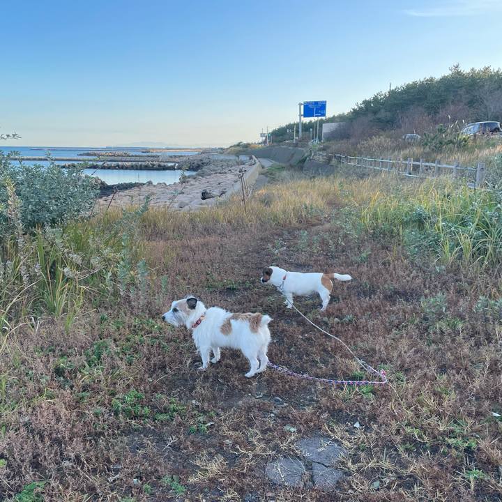 7023bed1 e6d5 453c b662 b5ab3b88da48 1762296861050