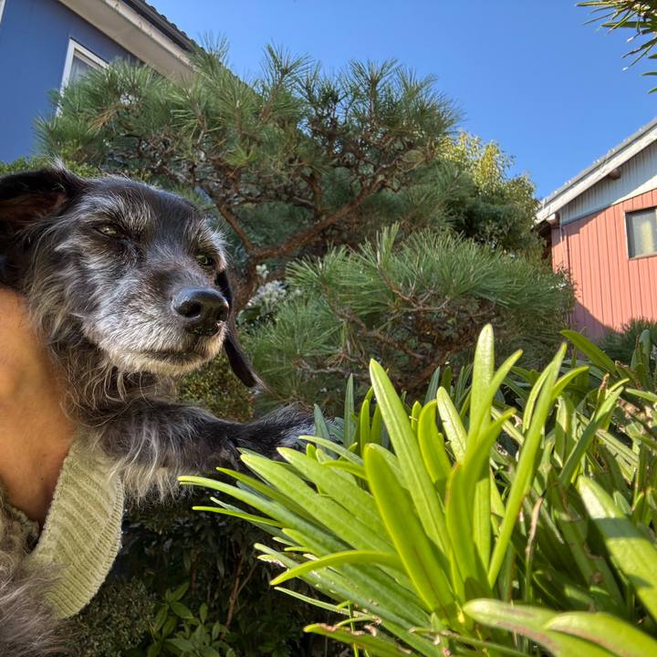 7023e76d 1823 43de aa84 881c214e753c 1764371436856