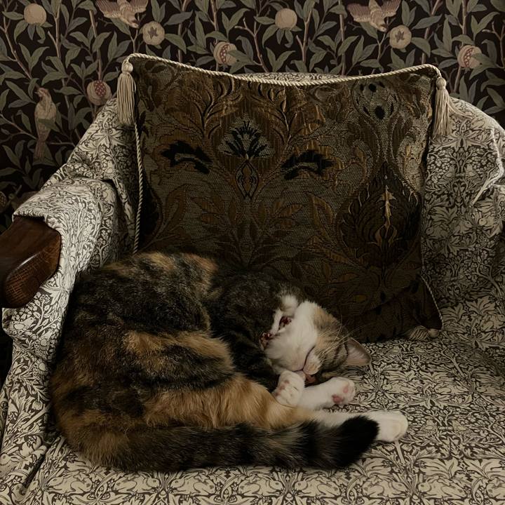 7023ffb8 3e7f 44b4 97d5 0b930c30baf6 1759411591546