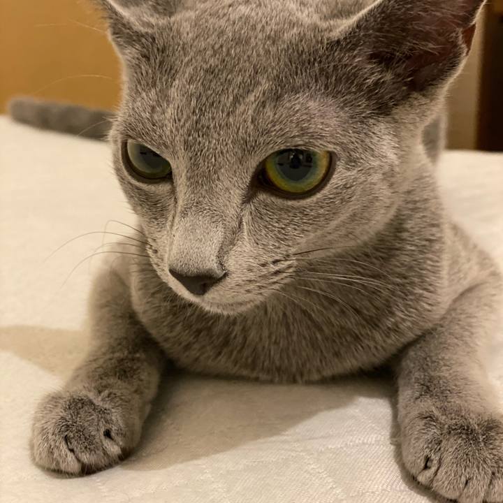 70240737 1de3 4ac3 aca7 df57a29dc890 1599735099532