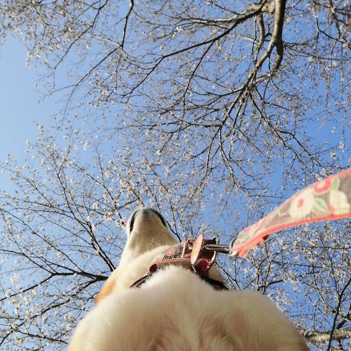 70240afb 8061 42f2 b982 8bb1d1dba8a6 1616484956037