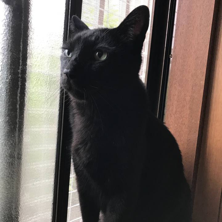 70245216 965b 4526 8bbf a429b6c84cec 1529805344498