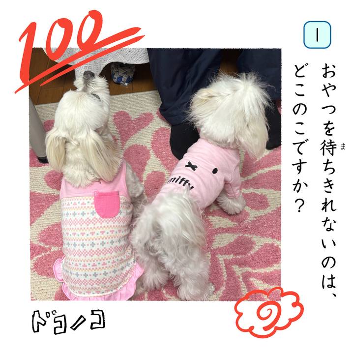 7024981f ed3d 4698 a603 55da90ae39b3 1744669433009