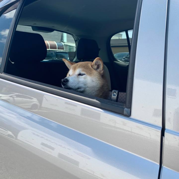 7024cb93 f33a 4dcb a5ad 1b1d5ad5bcb5 1588151904870