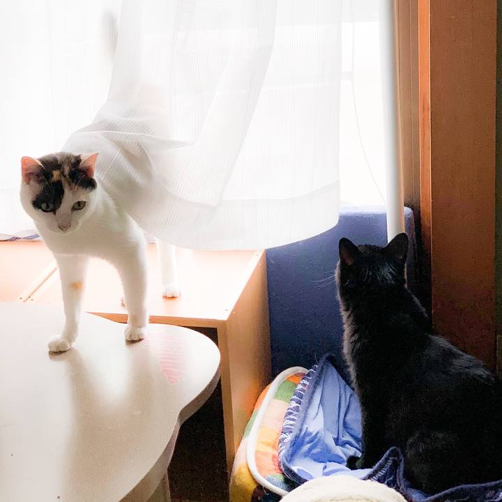 7024eb86 af82 4069 9e79 ec1defb14646 1565745067966