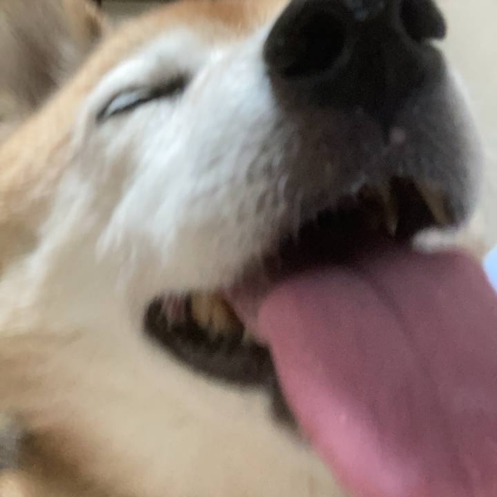 70255a6b 9814 4952 b975 1be1cd1363b7 1754469561608