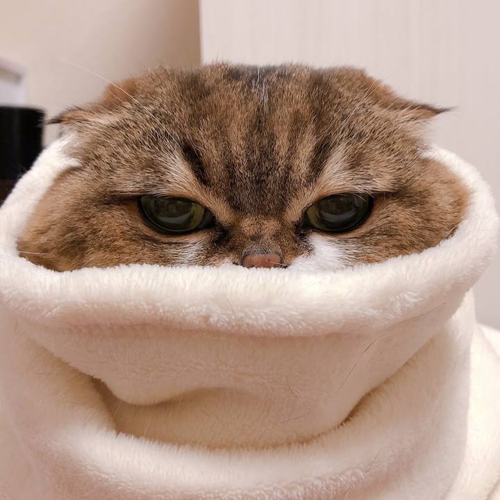 7025844b 58f3 4359 872f 628f3e4e9570 1606724205369