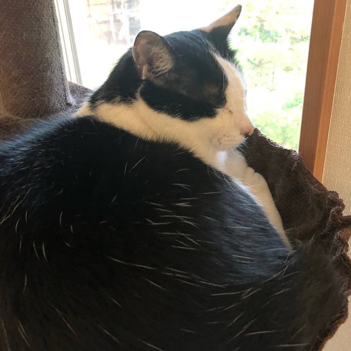 7025d2d5 6add 4da1 b65c 2d0c8ff10397 1557951204602