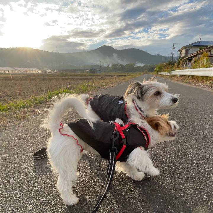 7025d96c 4f10 4463 8249 c043fec7a7a5 1764230956299