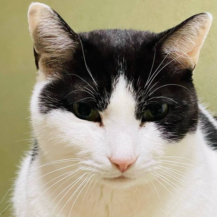 7025ee4e 1f94 4bd6 9d7d dd9f622ba554 1644288902402