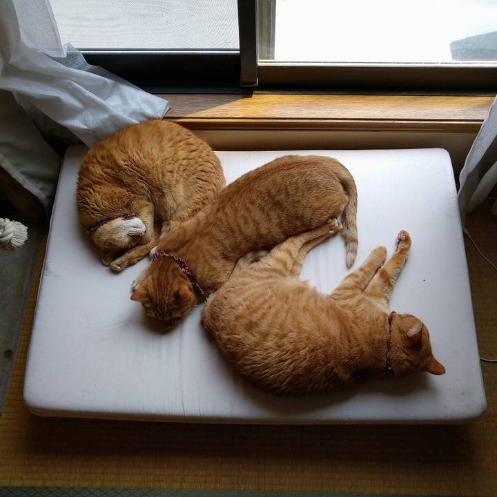 7025f54e 7d88 4440 9582 14883dc805f4 1624594848877