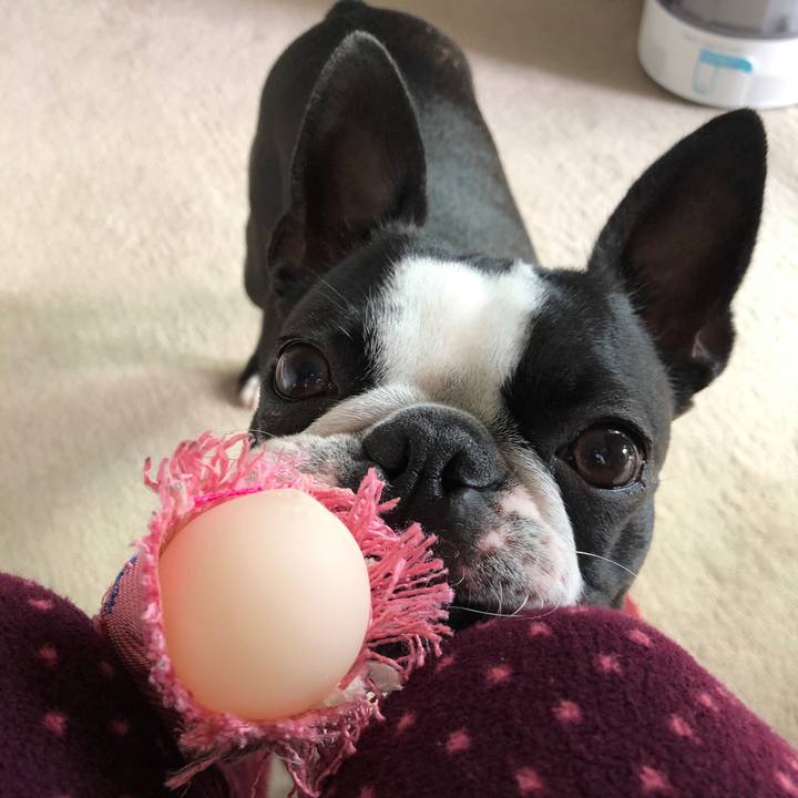 7025f71d 2fed 45c0 9c9e 598ade66ce72 1575265303452