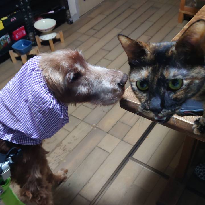 70261c41 8352 4502 bdab 65078781d5ca 1744892074310