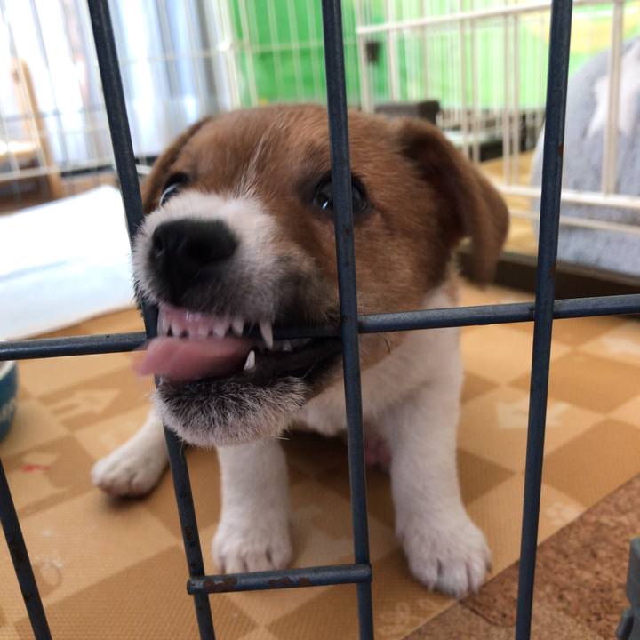 70262032 844e 4d81 81cd aba5ef5abe48 1543364514854