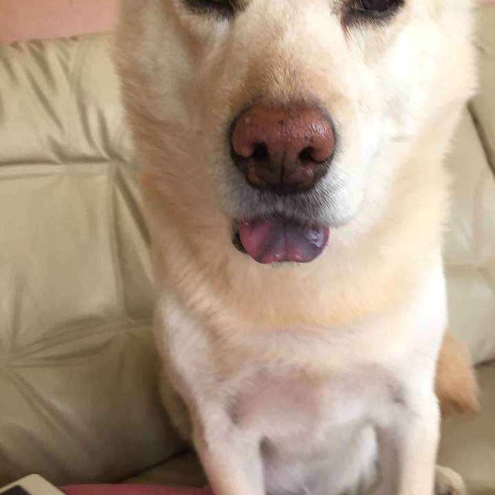 70263bf0 2e29 4a9e a8f9 429d85252ee5 1523838578408