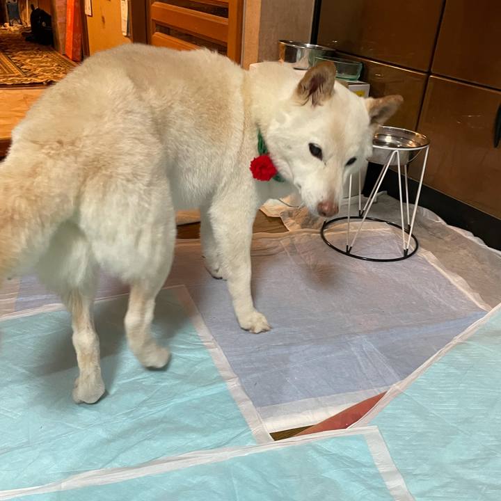 70265677 fe81 4205 95cb e64222555378 1639491926320