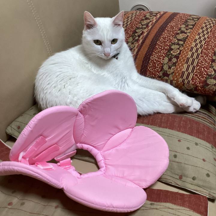 70266264 79c1 4162 8903 ac8cf4561265 1648979354643