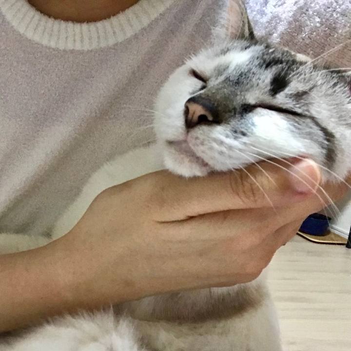 70268b60 5556 4164 88e0 4ac0aa05589f 1527931039536