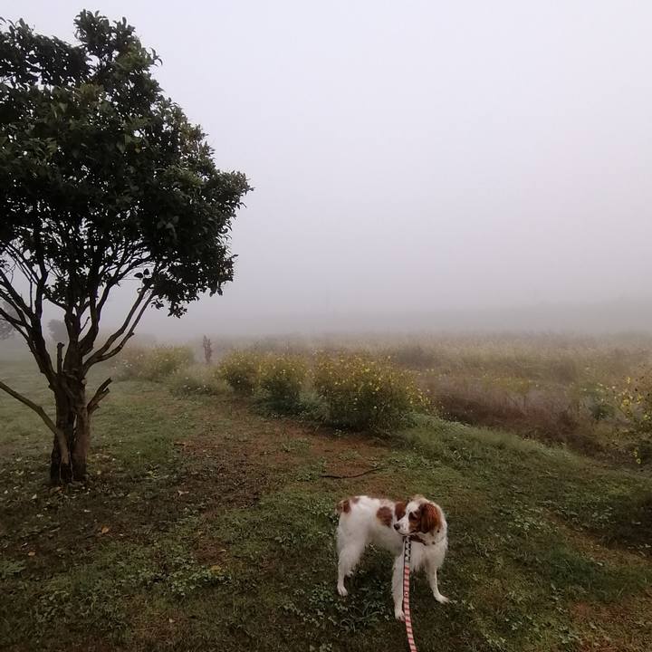 702692a4 bd1b 478b 952e 5029debdc9d6 1572435504206