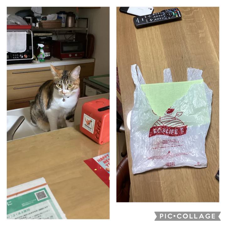 70269361 2982 4e3f 82fd d0fafe0ee833 1650276996652