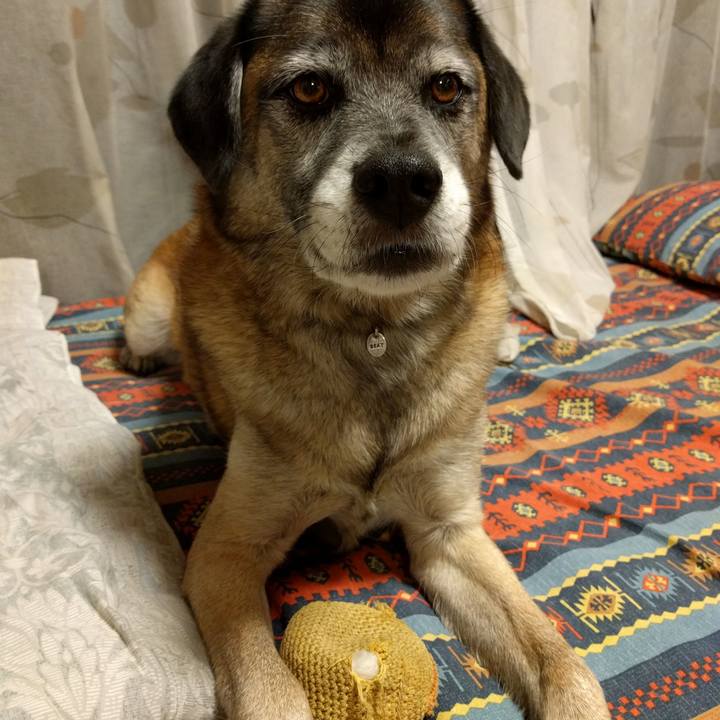 70269635 db6a 44e6 85d3 3b6622f2fbd9 1695603429488