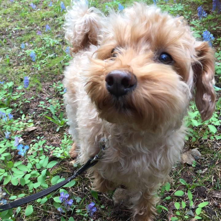 7026b997 b6c6 4f08 b363 b84a0cf40a6f 1524695333244