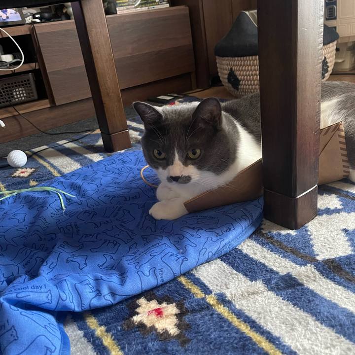 7026e0f6 4873 4385 b5a8 94b3b068d46d 1690358716298