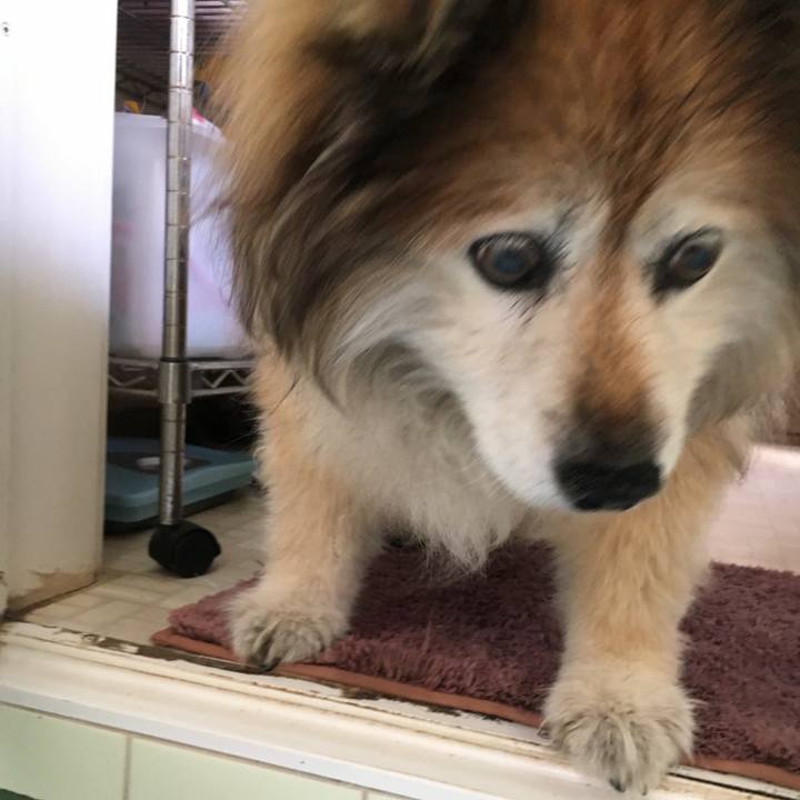 7026f5c1 7295 49b1 af95 ad89b1358e6d 1561899055181