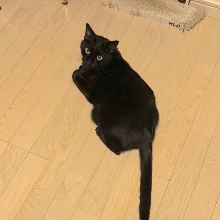 70270fd0 1631 4cfd a2a0 3d579755b369 1517060806341