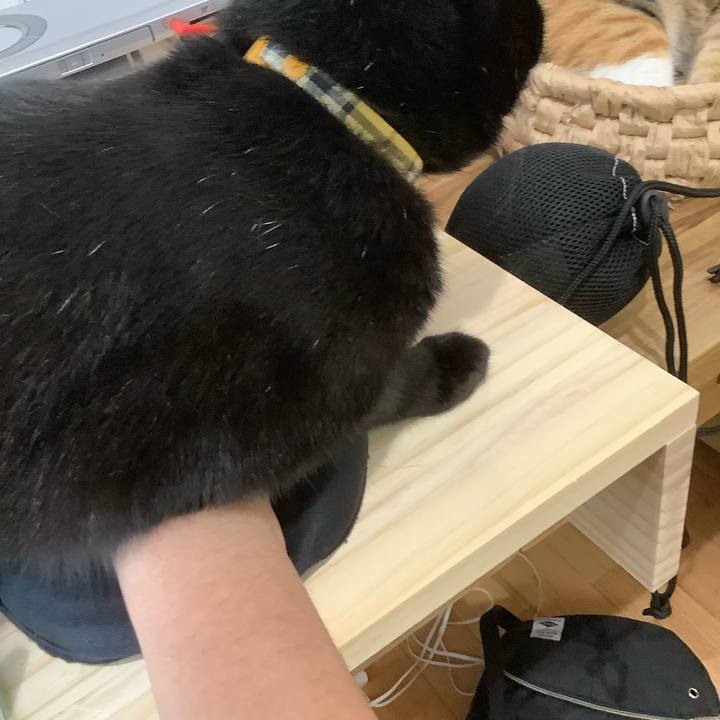 70271485 7da7 443d b525 7916d931fed2 1591778610146