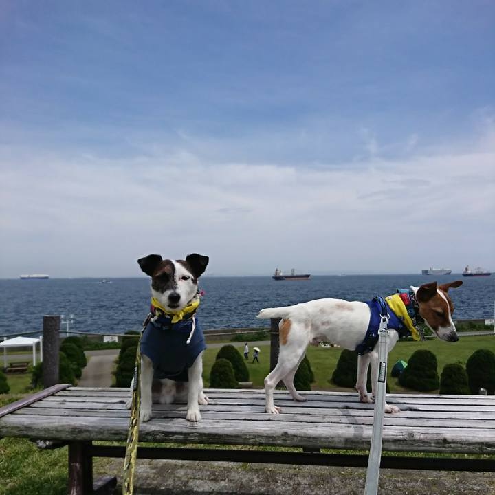 70272350 d5d4 453a 97be 777b9c01b8ff 1526123564468