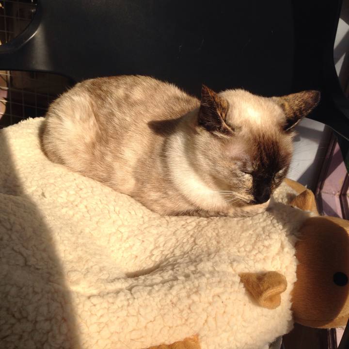 702740b2 be70 4846 9051 bf04da9b12b1 1510190958418