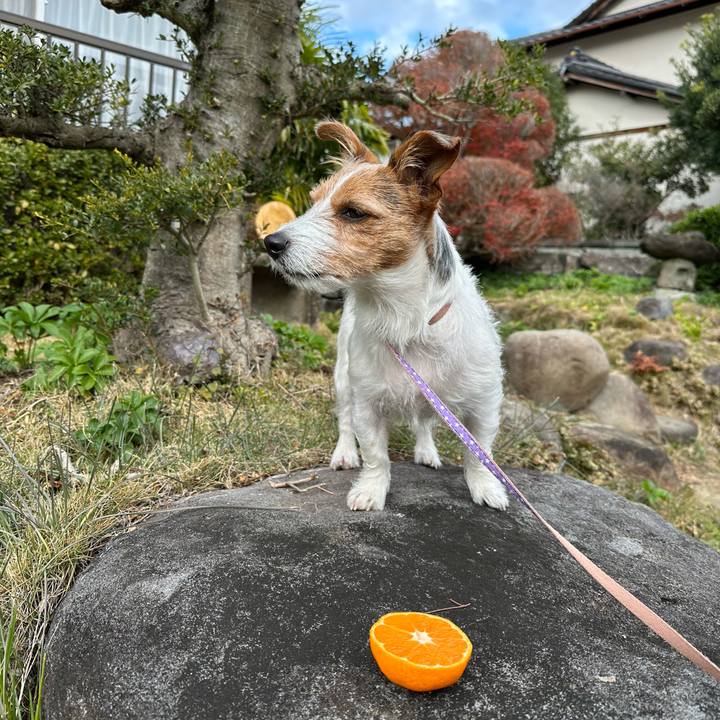 70279318 9f93 46f8 85e6 9ef10be09fe1 1765606670135