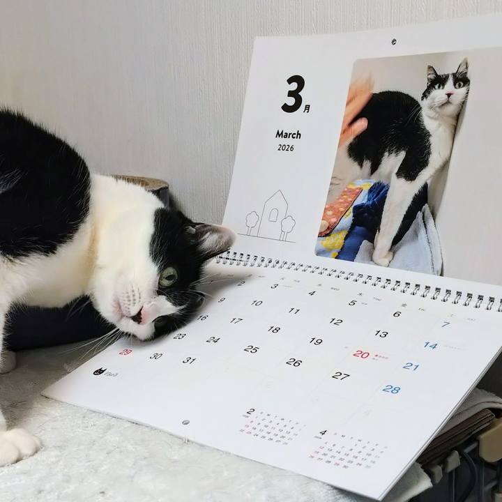 7027a554 b47e 4419 b65a dd6c393a4411 1772441728930