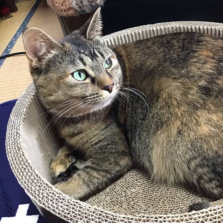 7027d141 10e2 4b3b a17c ac65c4f0ae85 1703989168862