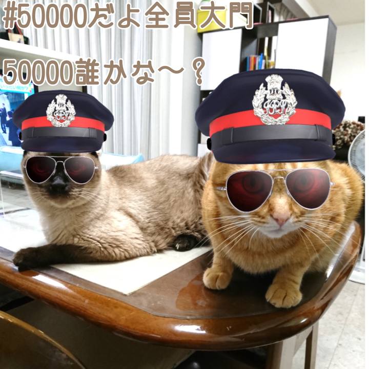 70281c4c 850b 419f 87e8 b784ff54b995 1566650914774