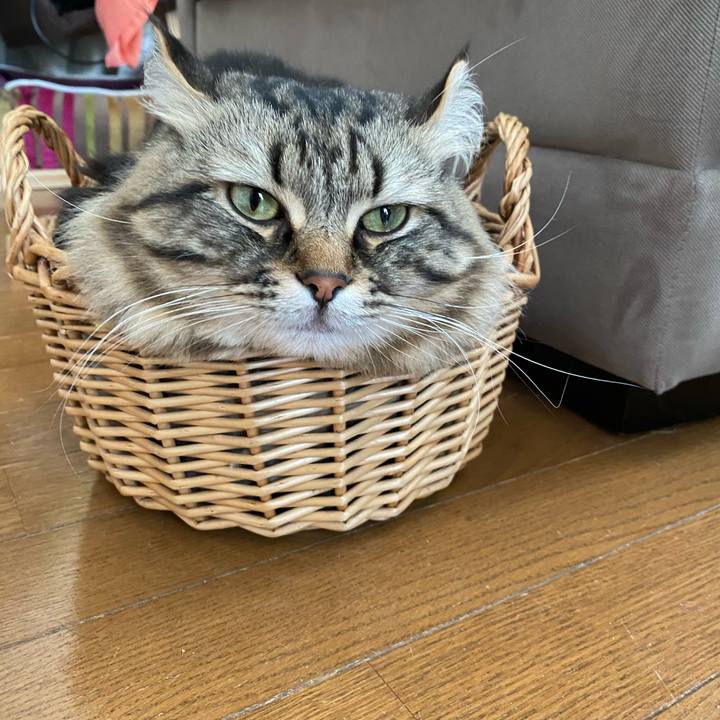 702826b5 8324 42dd 8660 b8ef6992a1d8 1619060475015